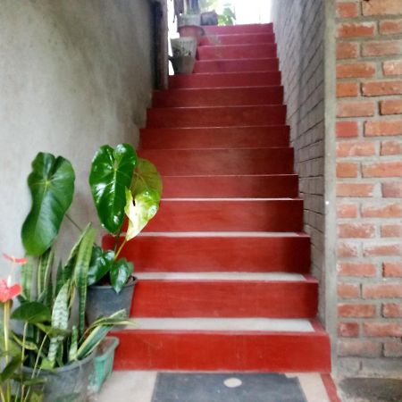 Nimsara Homestay Ella Ngoại thất bức ảnh