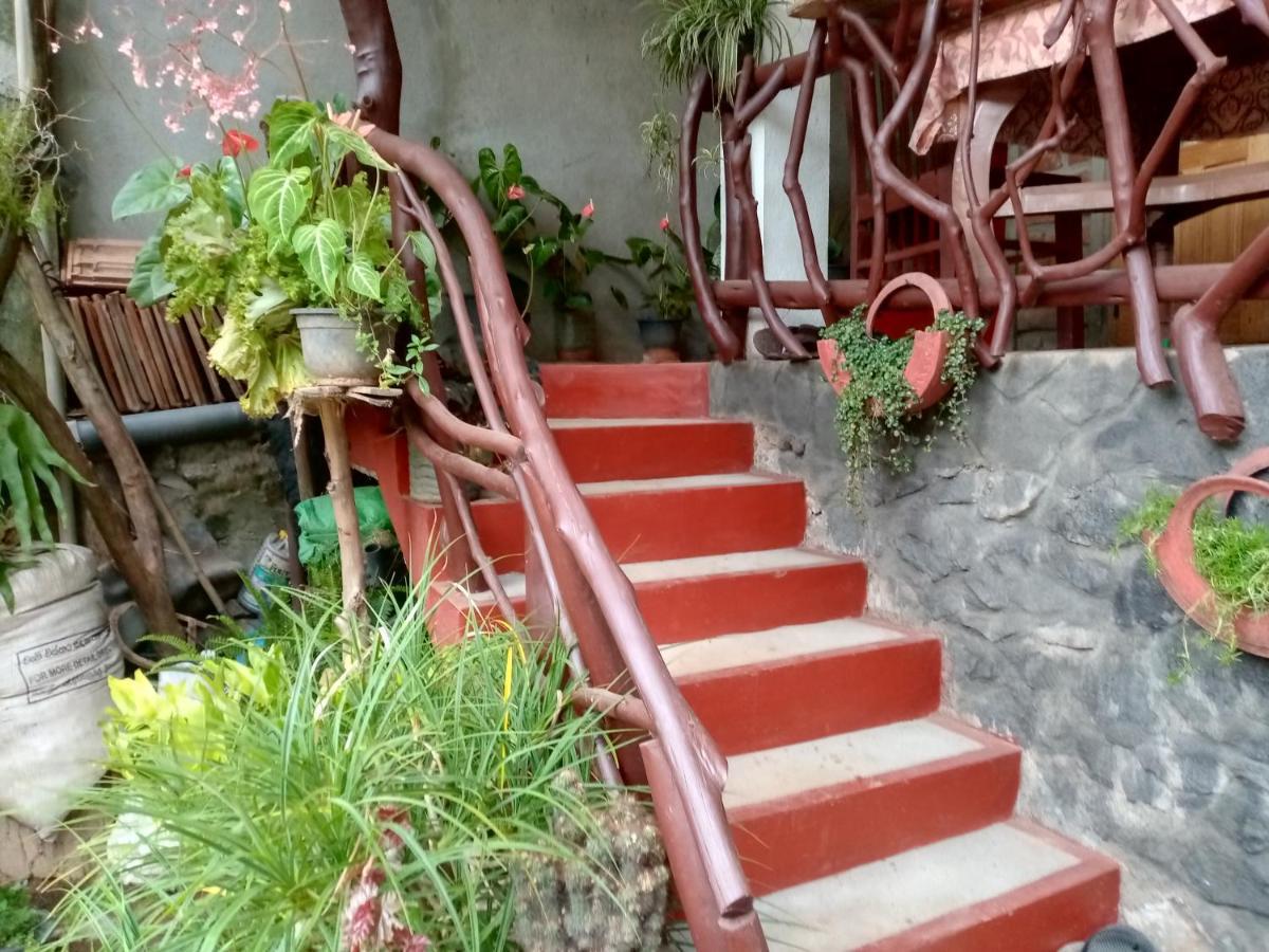 Nimsara Homestay Ella Ngoại thất bức ảnh