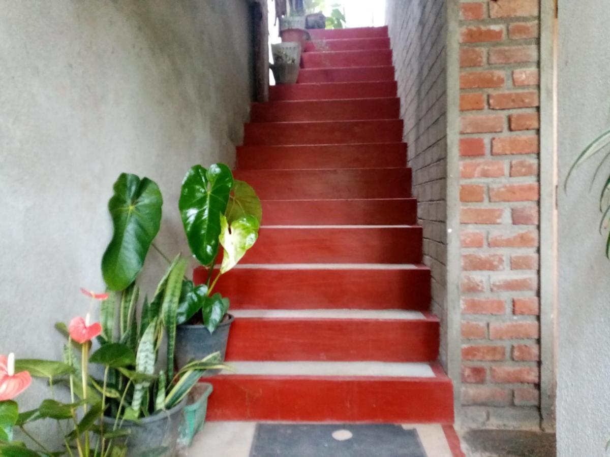 Nimsara Homestay Ella Ngoại thất bức ảnh