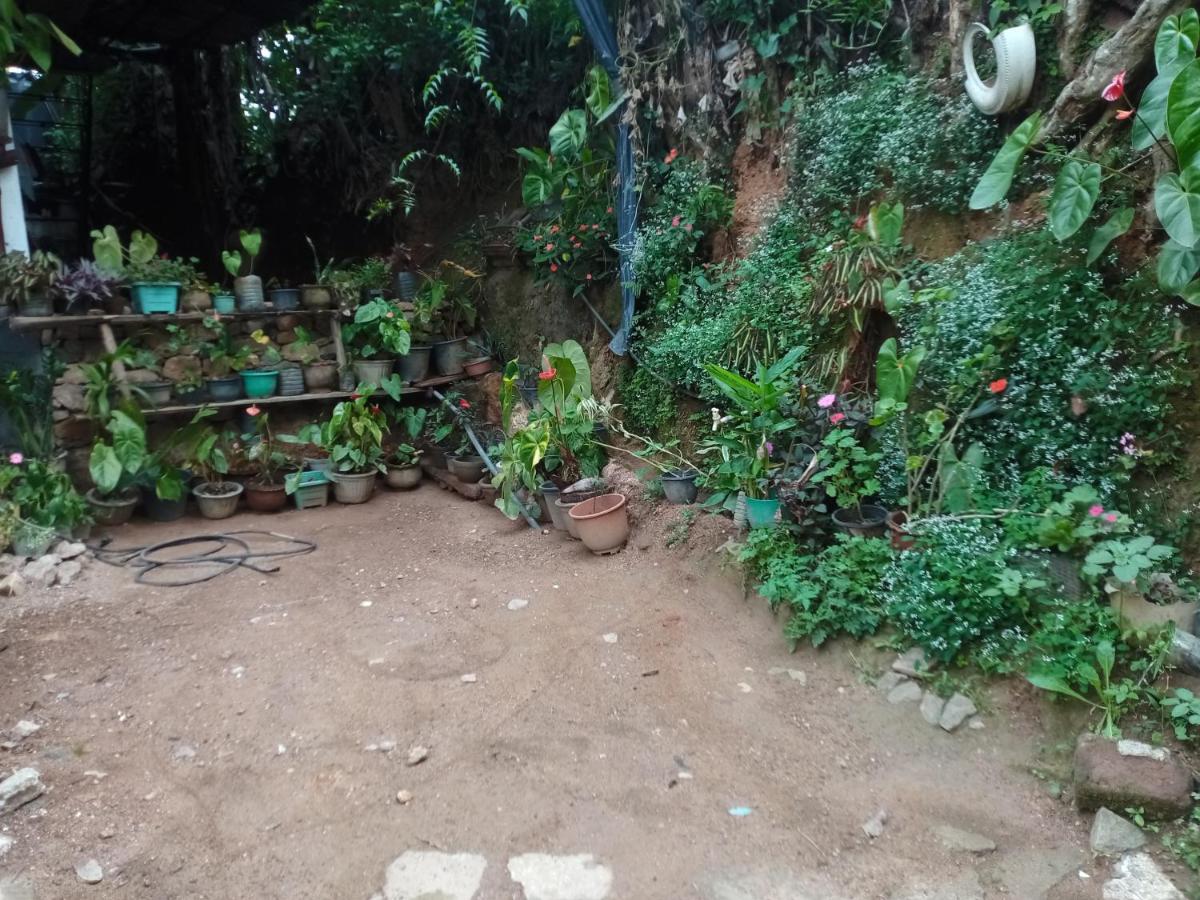 Nimsara Homestay Ella Ngoại thất bức ảnh