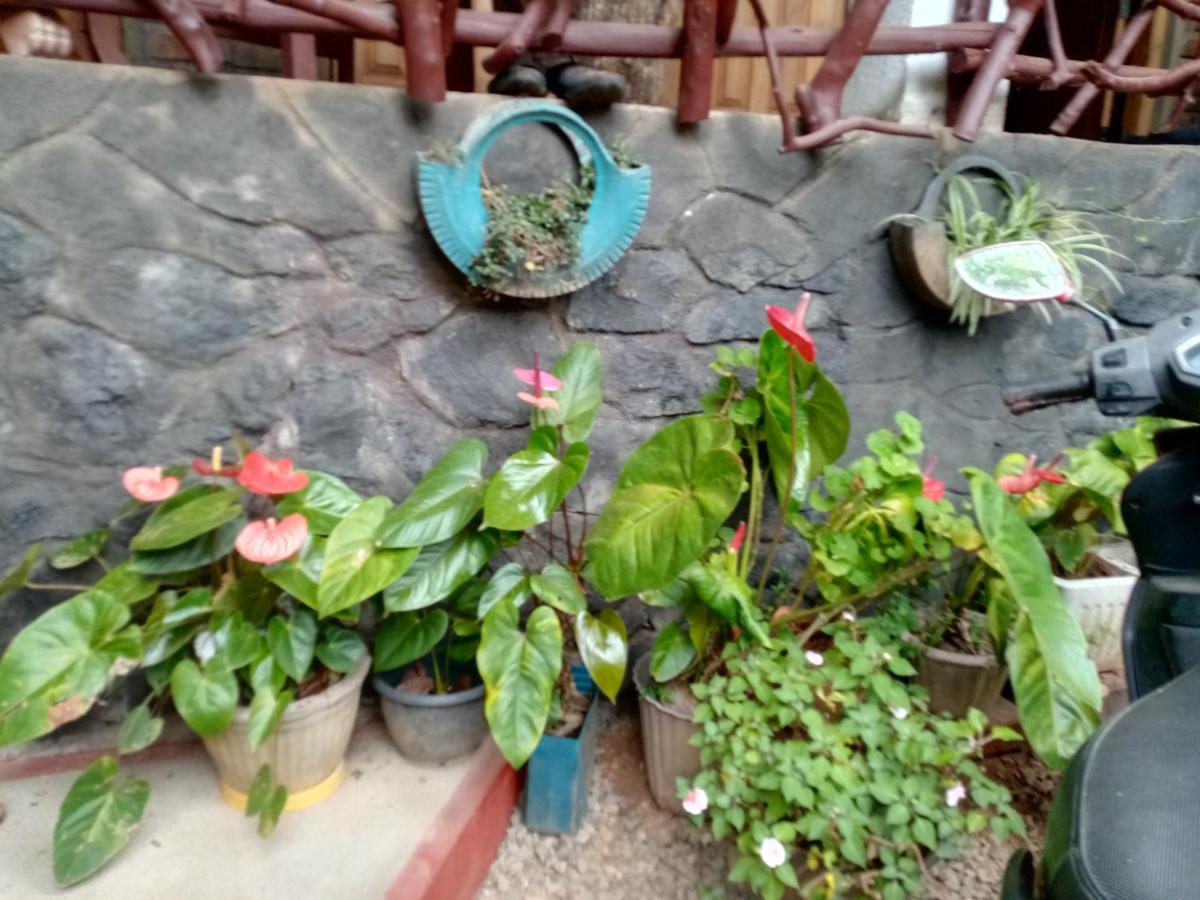 Nimsara Homestay Ella Ngoại thất bức ảnh