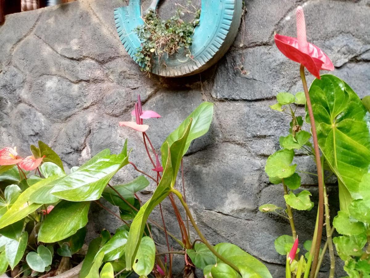 Nimsara Homestay Ella Ngoại thất bức ảnh