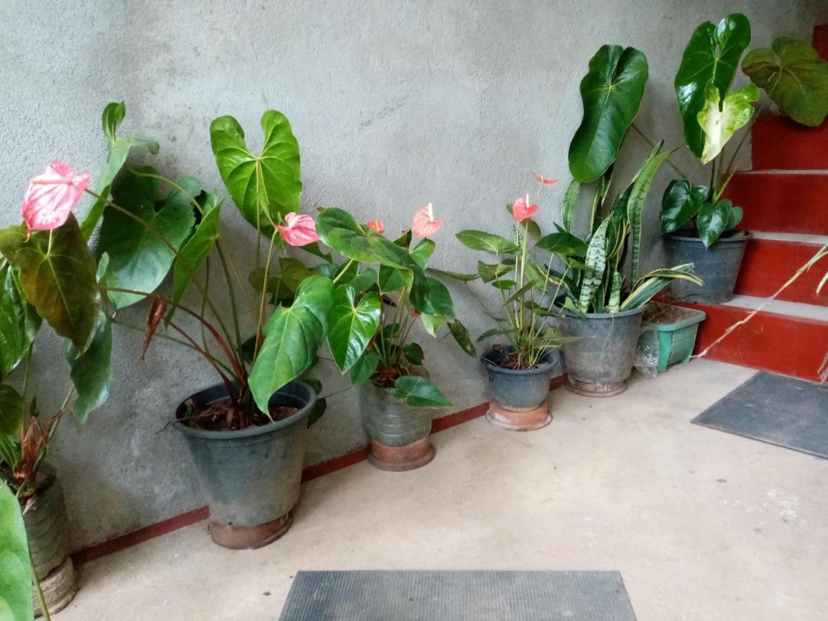 Nimsara Homestay Ella Ngoại thất bức ảnh