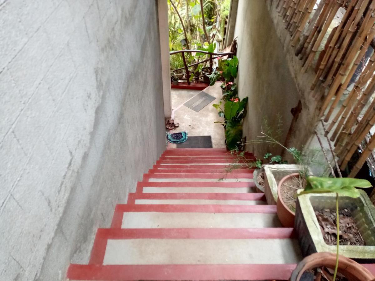 Nimsara Homestay Ella Ngoại thất bức ảnh