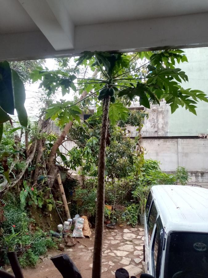 Nimsara Homestay Ella Ngoại thất bức ảnh